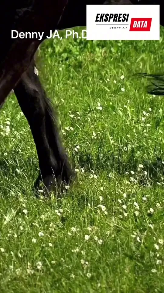 Denny JA: Menurunnya Elektabilitas Anies Baswedan Setelah Deklarasi Pasangan dengan Cak Imin